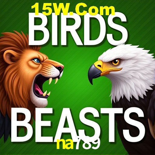 na789 Rio de Janeiro - Bonus Terms